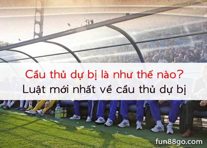 cau-thu-du-bi-la-nhu-the-nao-0