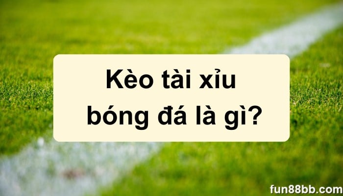 Kèo tài xỉu bóng đá là gì? Nguyên tắc tính tài xỉu bóng đá