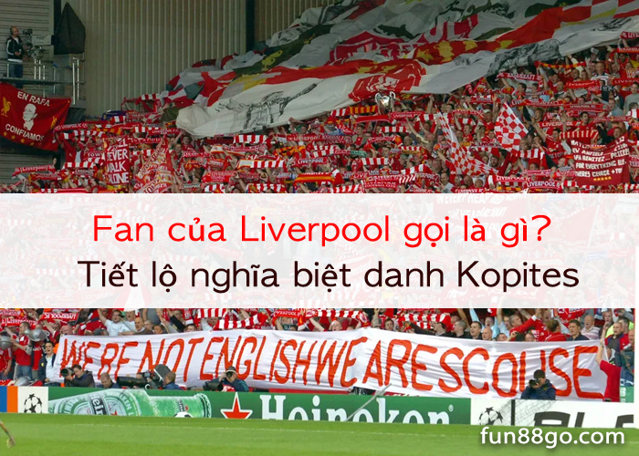 fan-cua-liverpool-goi-la-gi-0