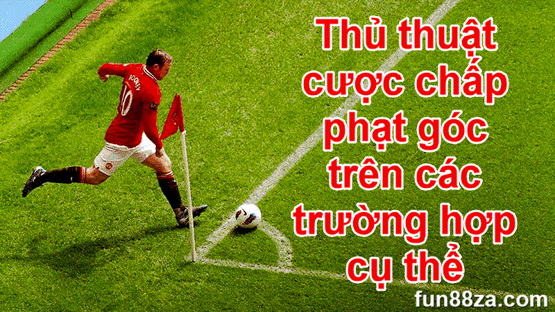 Thủ thuật đặt cược trên các trường hợp cụ thể