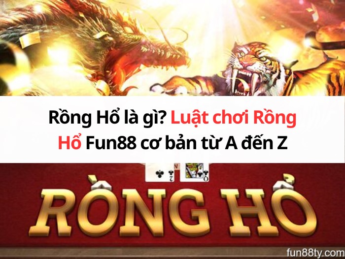 luat-choi-rong-ho-05