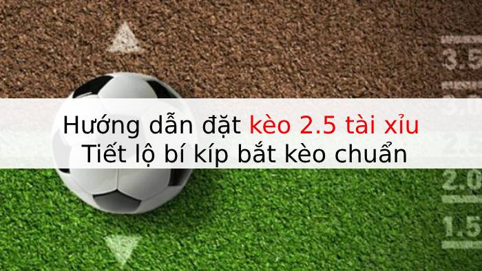 Hướng dẫn đặt kèo 2.5 tài xỉu | Tiết lộ bí kíp bắt kèo chuẩn