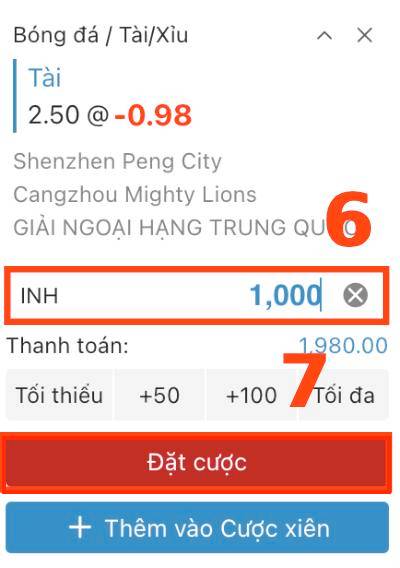 Đặt tiền cược và hoàn tất