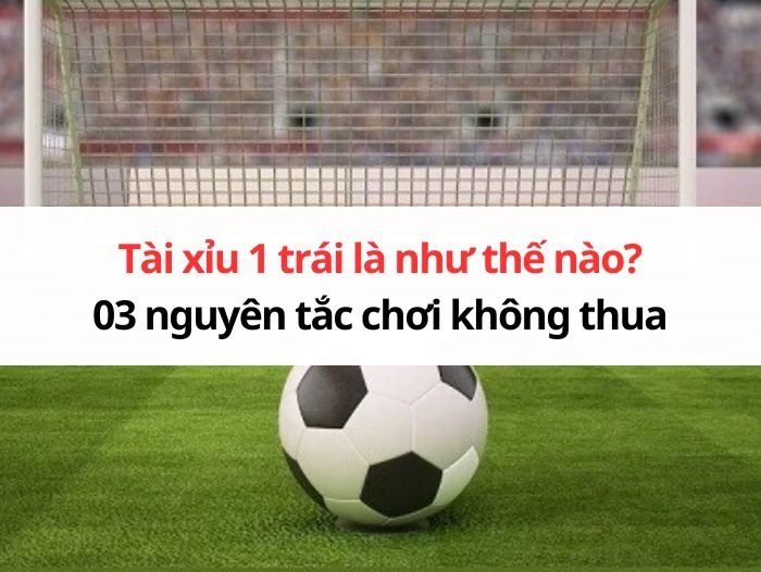 Tài xỉu 1 trái là như thế nào? 03 nguyên tắc chơi không thua