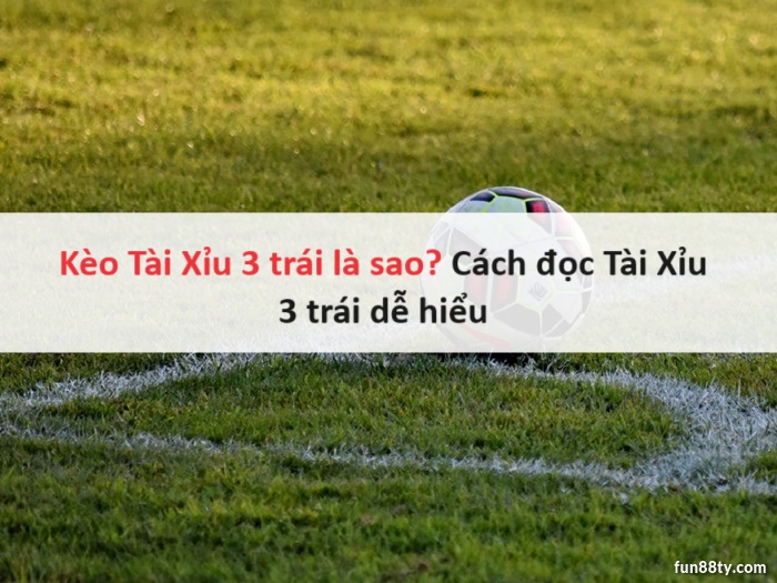 tai-xiu-3-trai-la-sao-02