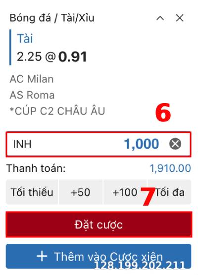 Đặt tiền cược cho trận đấu và cửa cược đã chọn